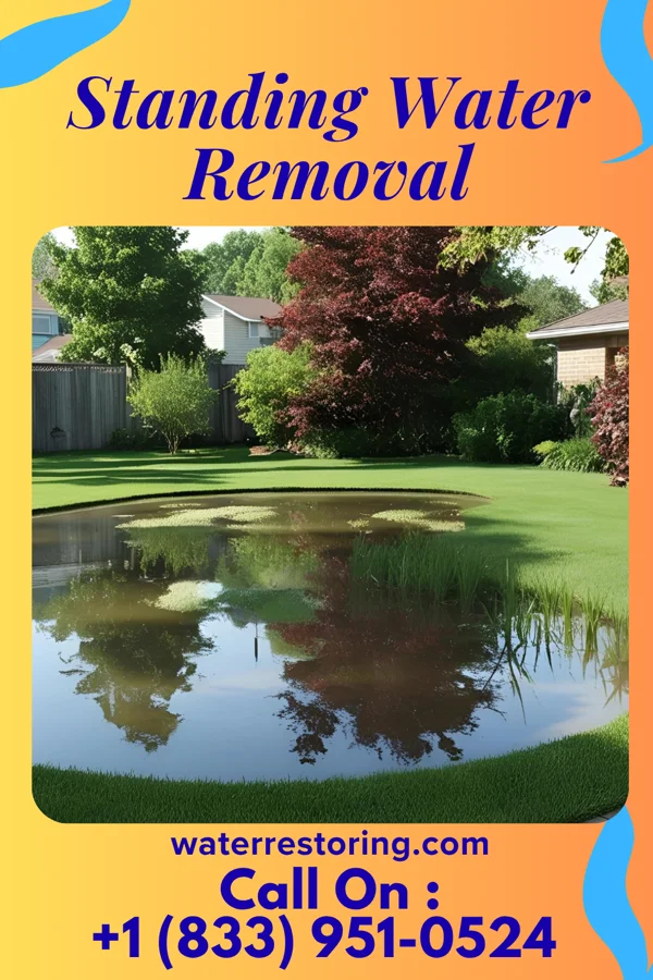 Standing Water Removal in Canton, MO